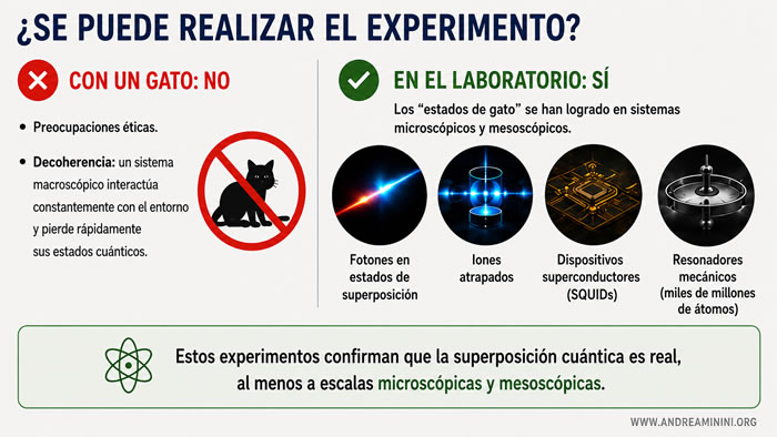 Realizaci&oacute;n experimental de estados cu&aacute;nticos de tipo gato