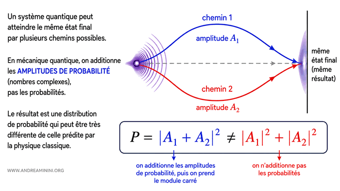 amplitudes de probabilité et terme d'interférence