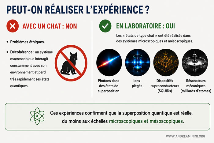 Réalisation expérimentale d'états quantiques de type chat