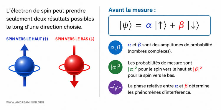 spin d'un électron décrit par une superposition quantique