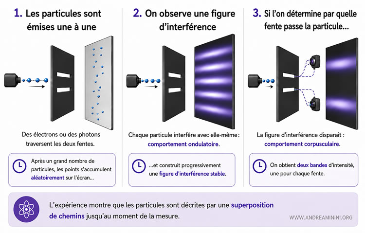 expérience des deux fentes illustrant la superposition quantique