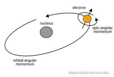 comparaison entre moment angulaire orbital et moment angulaire de spin