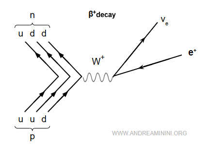 Feynman diagram of beta plus decay