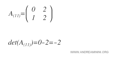Determinante del menor de a11