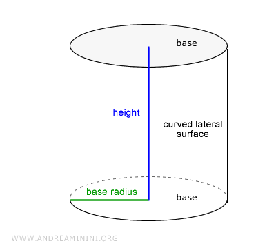 the bases, radius, height, and lateral surface of a right circular cylinder