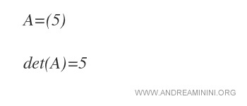 el determinante de la matriz es det(A)=5