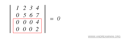 ejemplo de filas proporcionales