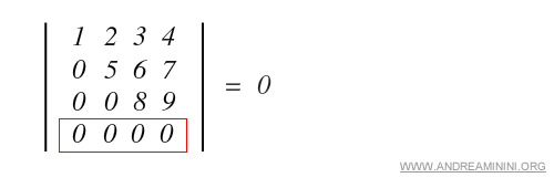 ejemplo de matriz con una fila nula