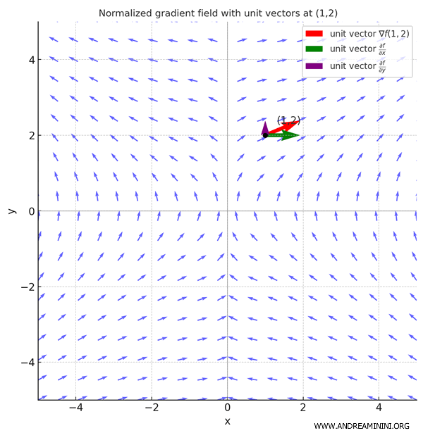 campo vectorial de gradientes normalizados