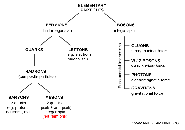classification of particle families (physics)