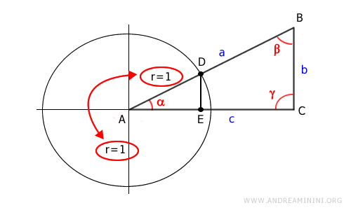 el radio unitario de la circunferencia