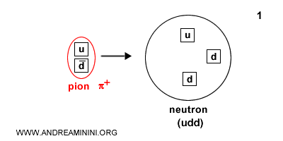 pion absorption in the strong force
