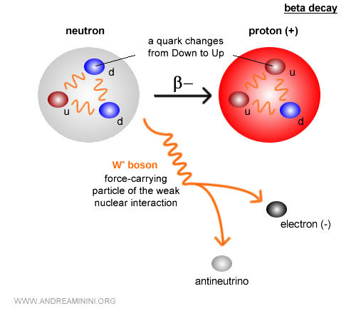 Feynman diagram of weak nuclear interaction in beta decay