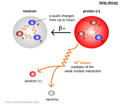 Feynman diagram of beta plus decay