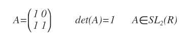 example of a matrix in the special linear group