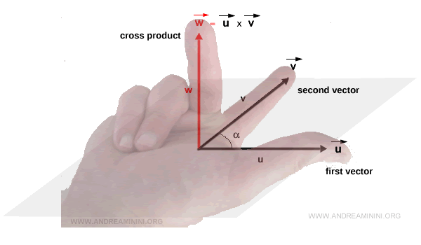 Regla de la mano derecha