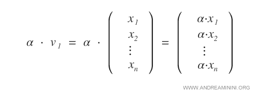 multiplication scalaire d’un vecteur