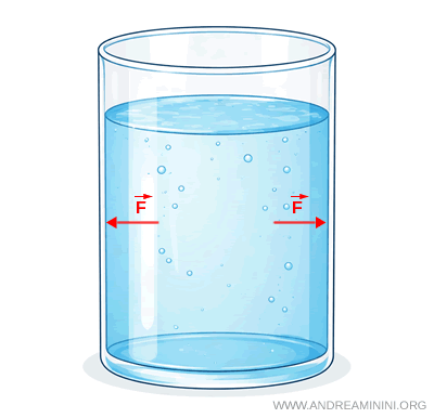 pression exercée perpendiculairement à la paroi d'un récipient contenant un fluide