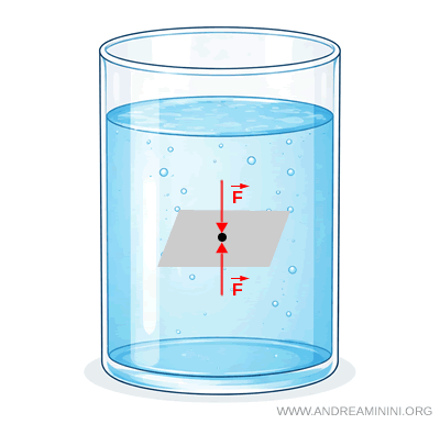 compensation des forces de pression en un point interne d'un fluide au repos