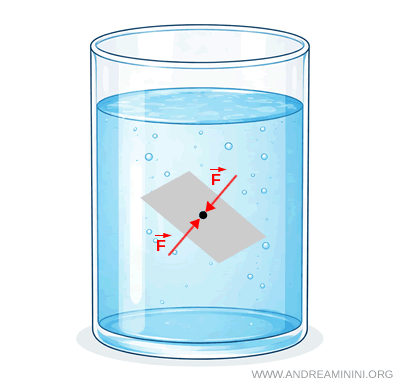surfaces imaginaires orientées différemment à l'intérieur d'un fluide en équilibre