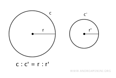proporcionalidad entre circunferencia y radio