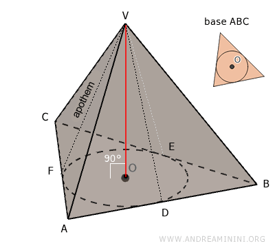 the apothems are congruent