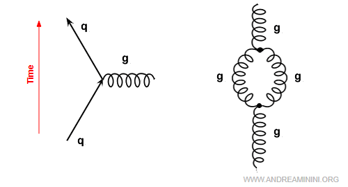 diagramme représentant des sommets à trois et quatre gluons