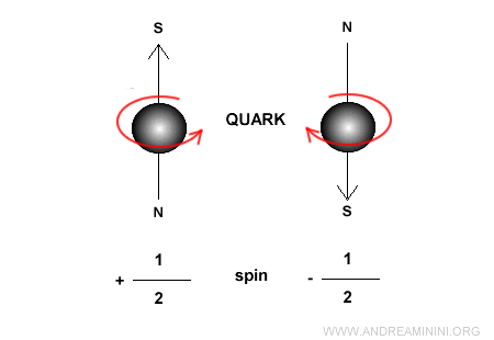 spin quantum number in quarks