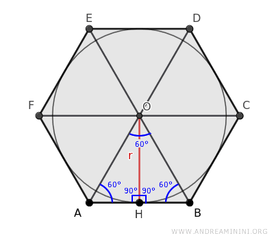 el triángulo rectángulo AHO