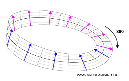 analogie Möbius montrant l'inversion d'un spinor après 360 degrés
