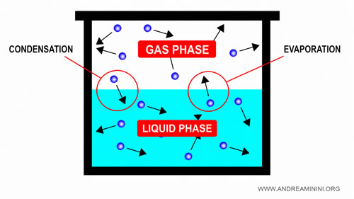 coexistence entre une phase liquide et une phase vapeur