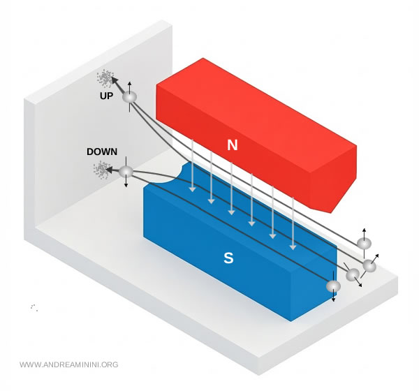 doble separación registrada en el experimento