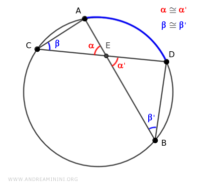 los ángulos beta son congruentes