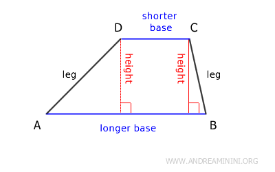 la base mayor y la base menor
