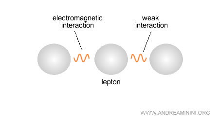example of a lepton