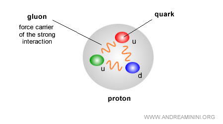 gluon: force carrier of the strong interaction