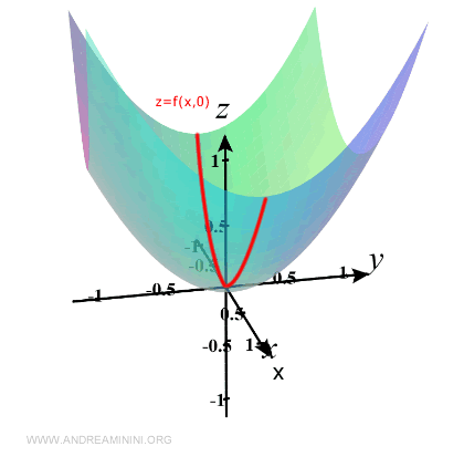sección de la superficie cuando y = 0
