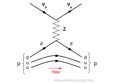 Feynman diagram: neutrino - proton neutral-current scattering