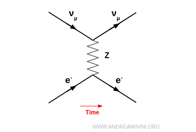 Feynman diagram: neutrino - electron neutral-current scattering
